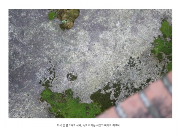 「콘크리트 그린벨트」 이주영(서양화·4)